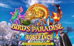 Birds Paradise 2 RoseFinch